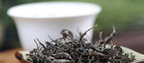 生普洱茶水温多少合适,普洱茶跟温度的关系