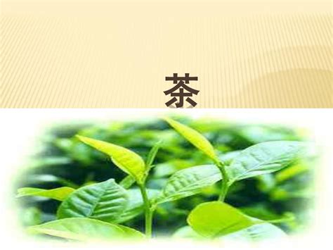 浅析中国茶文化,茶文化研究什么
