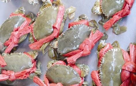 东北飞蟹怎么做好吃,吃飞蟹的季节到了