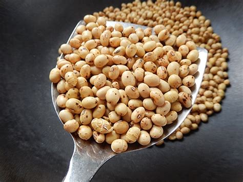 自制熟黄豆粉的简单做法,生黄豆粉怎么做成熟的