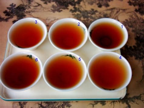 有金花的六堡茶和安化黑茶有何异同,六堡茶和安化黑茶哪个好