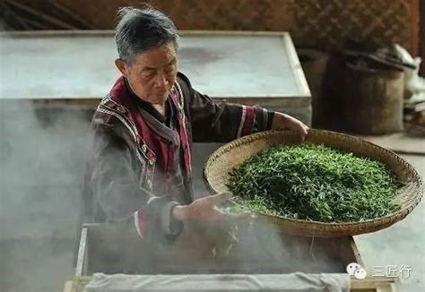 玉米味的绿茶是什么茶,绿茶是什么味的