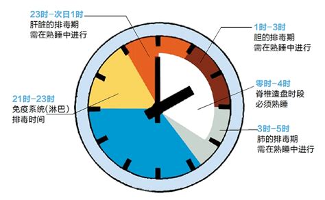 天天熬夜的人食谱,经常熬夜的人该如何调养身体