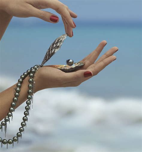 有珠宝的贝壳,哪些品牌采用过贝壳制作首饰