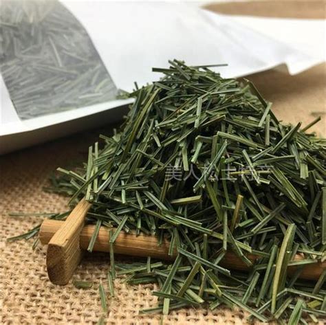 老树松针属于什么茶,绿松针属于什么茶