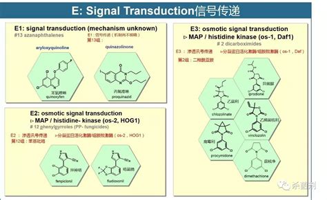 杀菌剂的作用方式有哪些