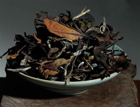 你的武夷岩茶为什么会有涩味,福鼎白茶为什么有涩味