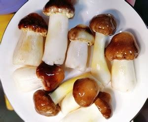 姬松茸炖汤没味道,红菇和姬松茸可以一起炖汤吗
