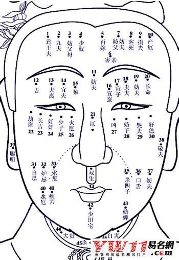 什么是夫妻相,为啥会有夫妻相