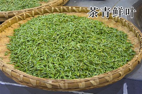 都说卖茶叶赚钱,茶叶成本多少钱一斤