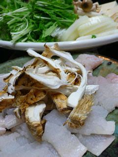松茸和香菇腐竹一起煮 蚝油香菇烩腐竹