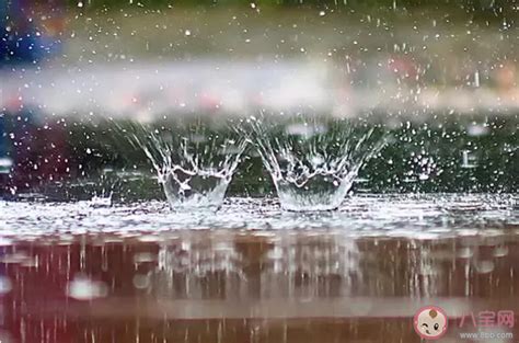 谷雨都要下雨吗