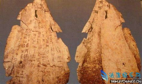 最早发现的人类在哪里,中国最早的人类起源来自哪里