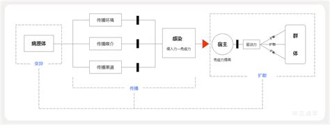 传播链最新消息