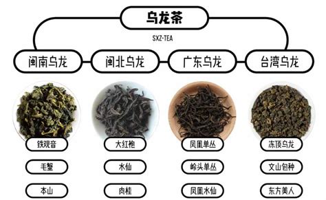 神秘的东方美人茶,台湾美人茶属于什么茶