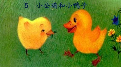 公鸡和鸭子-童话作文250字[推荐7篇]