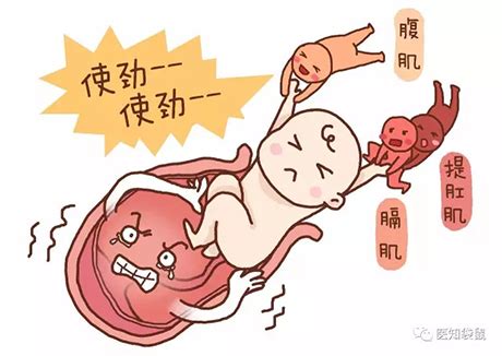 屁股大的女人生宝宝有什么区别