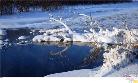 家乡的冬天作文200字（汇总7则）