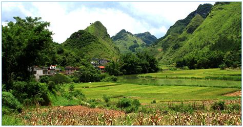 村边的水塘-水塘作文500字【合集9则】