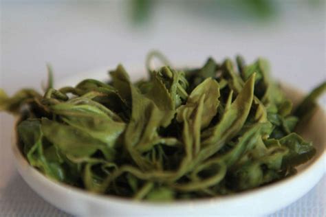绿茶怎么煮,干茶和叶底分别怎么煮