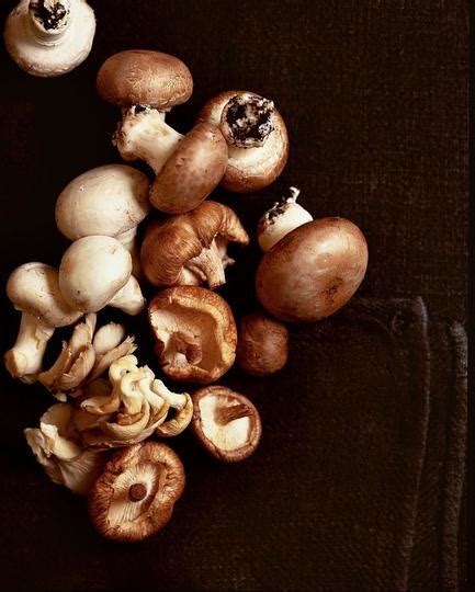 胶东特有的野蘑菇,吃松茸蘑菇腹泻