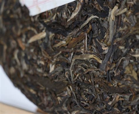 云南老古树茶树最贵多少钱,1700年邦崴古树茶