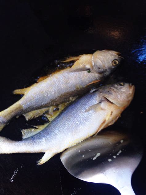 图】葱油黄鱼的做法,葱油黄鱼怎么做好吃法