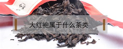 大红袍是哪里的,武夷岩茶大红袍是什么茶