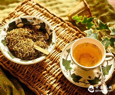 神农解毒茶的茶叫什么茶,中国最早的茶出现在什么时候