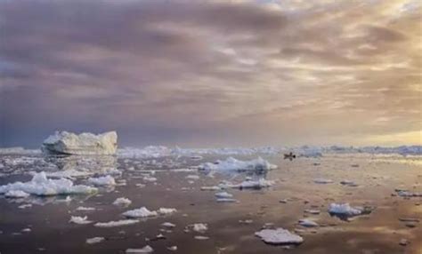 南极和北极最大的不同是什么？