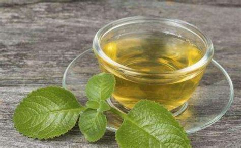 常喝绿茶有什么好处,喝绿茶有益健康
