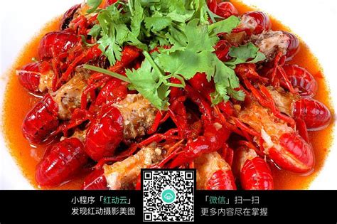 小龙虾怎么判断公母的