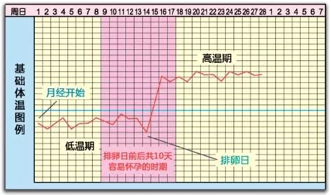 女性体温曲线变化图