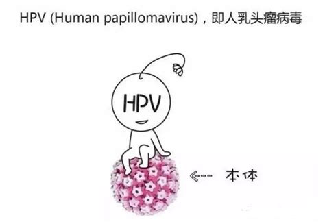 女性hpv转阴的最佳方法