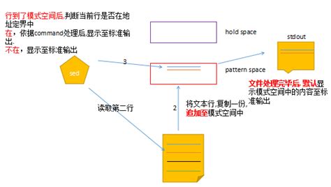 SED的手机下载小说支持什么格式,怎么下载?