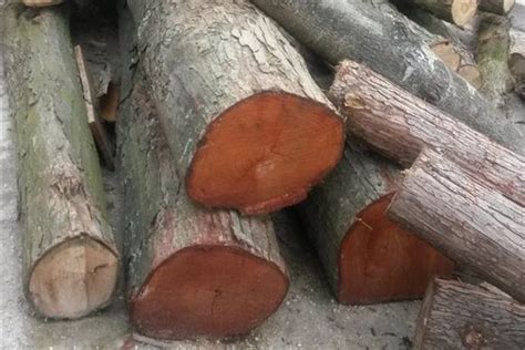 泰国红心楠木是什么木头?圆木价位如何?