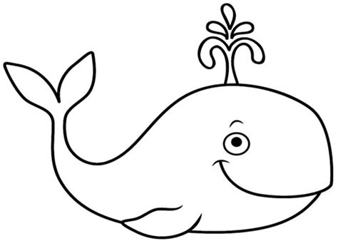 为什么鲸鱼不吃人,鲸鱼是一种哺乳动物