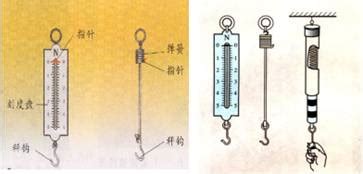 弹簧秤测的是重力还是合力