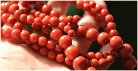 老器型的南红珠子,1 2m的南红珠子多少钱