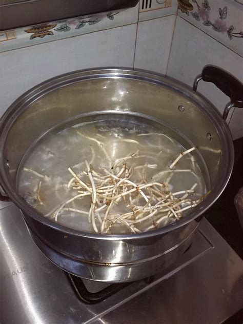 广东鱼腥草煲汤的做法,鱼腥草怎么煲汤好