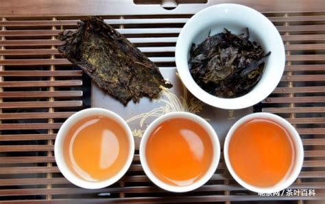 乌龙茶属于什么茶,什么叫后发酵茶