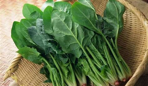 瘦人要多吃这四种蔬菜