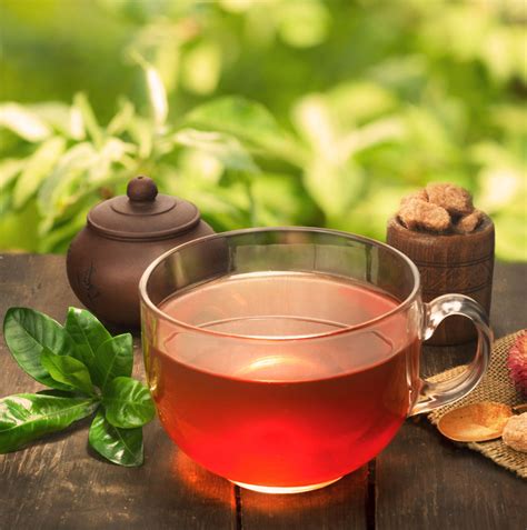 碱性饮料有哪些绿茶,什么是碱性食物