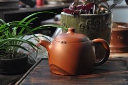 菩提茶怎么喝,冲泡菩提凉茶的方法是什么