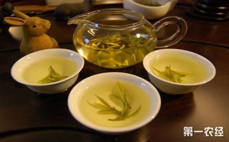 发酵的茶有助于什么,什么茶属于发酵的茶