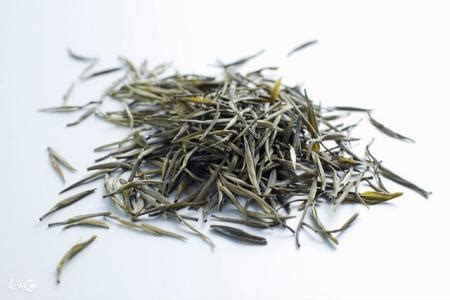 茶树叶是什么形状,鲜为人知的油茶树