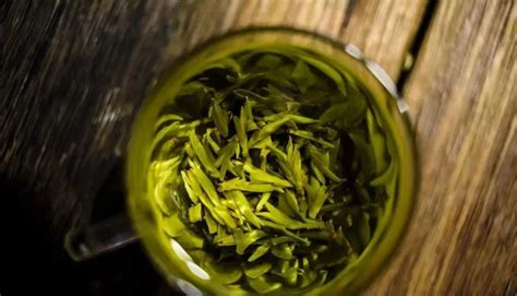 绿茶大师碧螺春是什么意思,碧螺春绿茶是什么茶