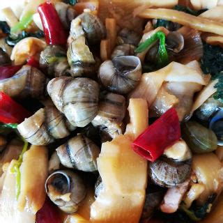 海螺螺肉怎么炒好吃,干海螺肉怎么做好吃