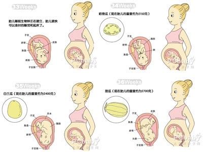 子宫里面的胎儿怎么样才能出生