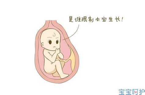 孕34周胎儿腹围标准值是多少